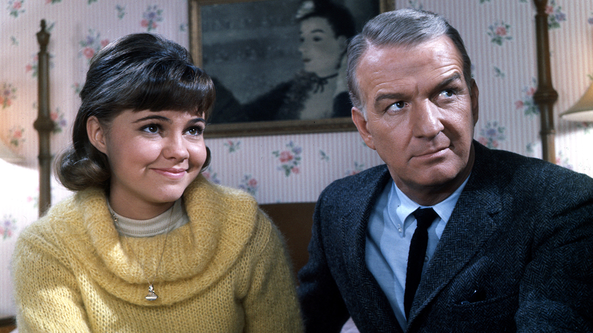 'Gidget' TV Show Cast: What Happened to the Stars of the Classic Comedy ...