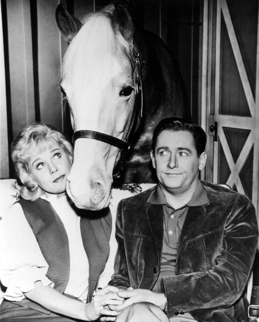 Connie Hines, Mister Ed and Alan Young