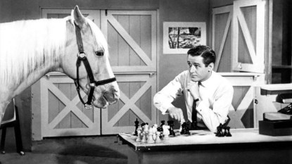 Mister Ed and Wilbur Post (Alan Young), 1962
