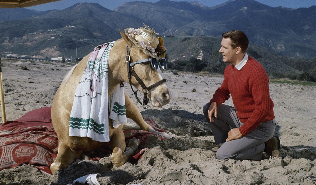 Mister Ed and Wilbur Post enjoy some time at the beach