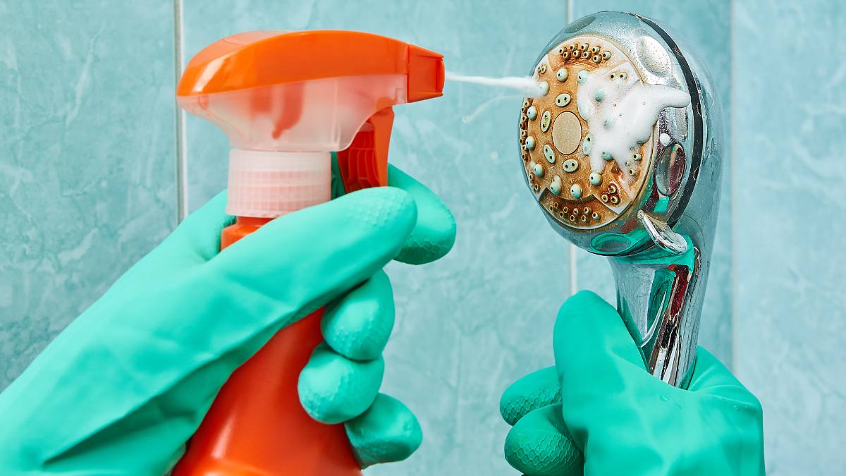 how to clean a shower head: Hands in green rubber protective gloves wash the head of the shower with the help of a cleaning spray