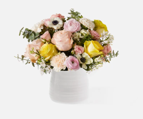 Screenshot-2024-03-20-at-10.58.10 AM