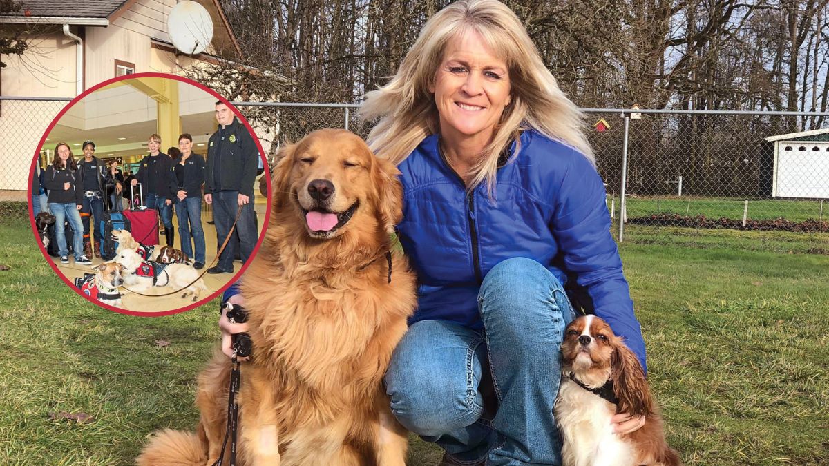 Service dogs for Vets featured photo