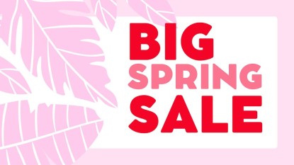 Pink palm leaves next to text that reads 'Big Spring Sale.'