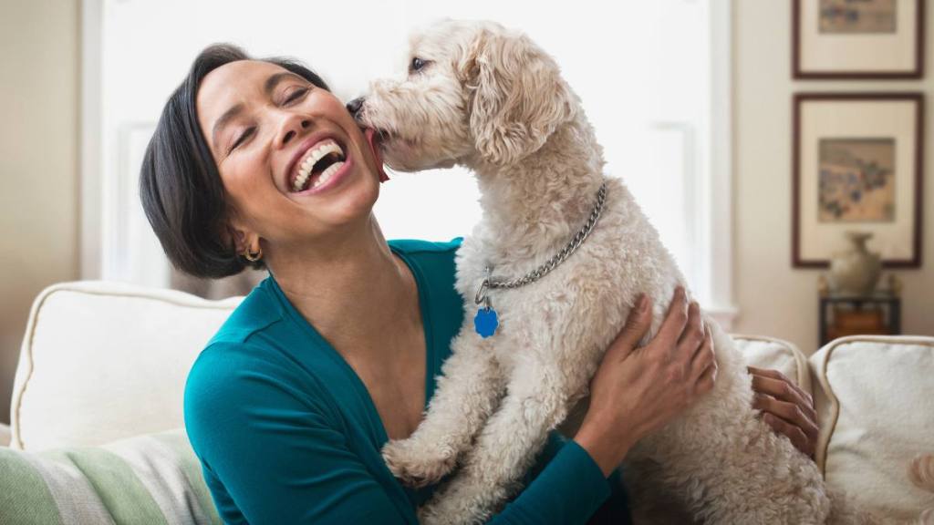 Highest paying work from home jobs: Black woman petting dog on sofa