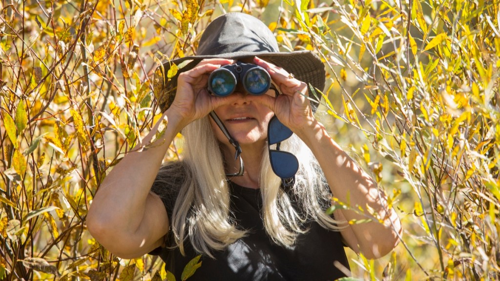 A woman watching birds with binoculars