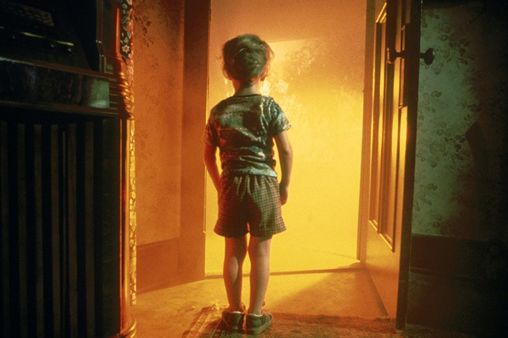 Young Cary Guffey as Barry Guiler about to get abducted by aliens in 1977's Close Encounters of the Third Kind