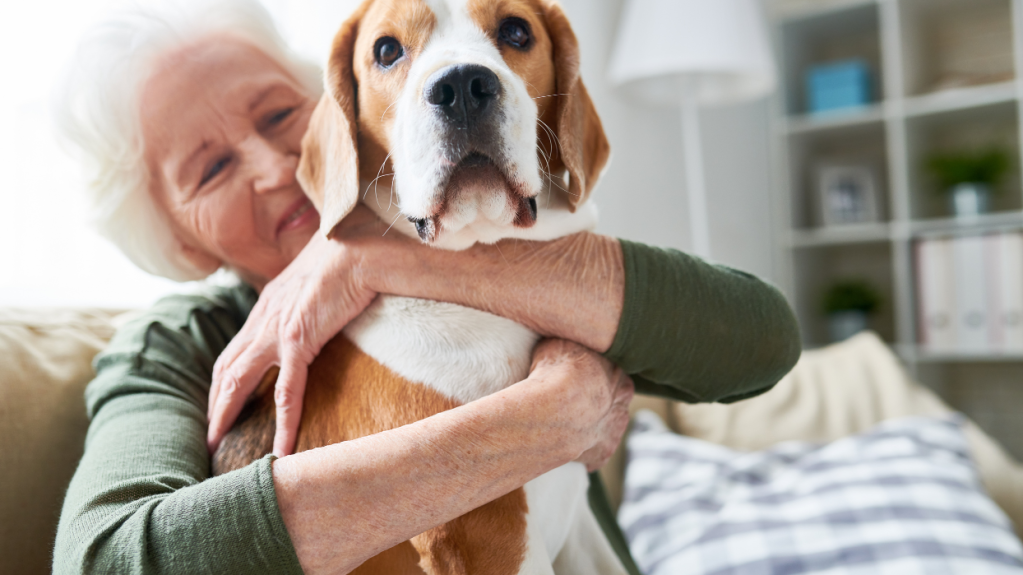 An older woman with her arms wrapped around a brown and white dog