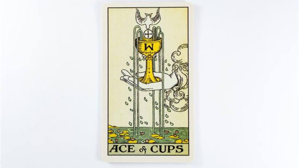 The ace of cups card