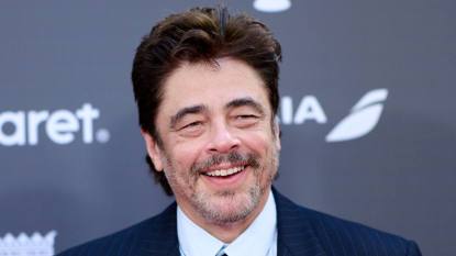 Man smiling; Benicio del toro