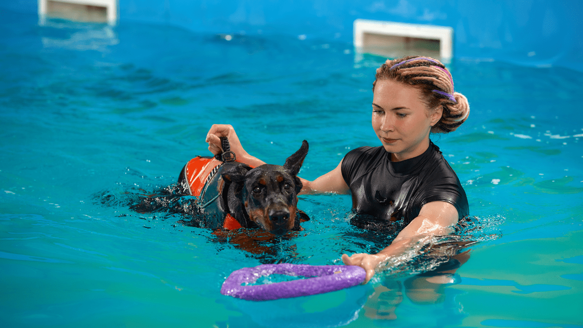 Curated visual reference: Picture Idea: Can All Dogs Swim Experts Weigh In Woman S World