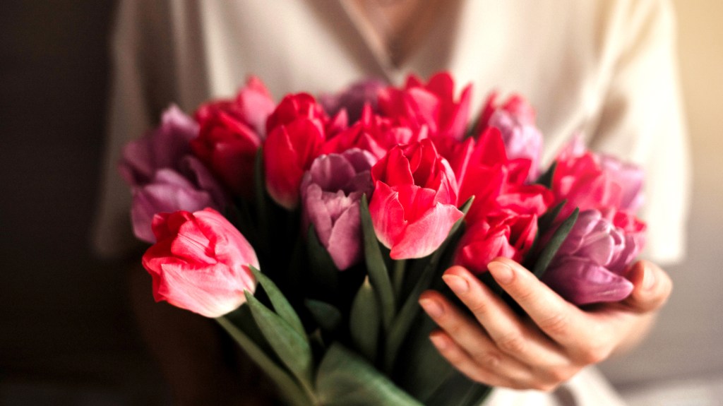 How to care for tulips: Woman holding a bouquet of pink and purple tulips in her hand