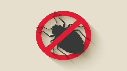 How to keep bugs out of house_featured image