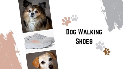 Pictures of dogs and a pair of Hoka sneakers with text that reads 'Dog Walking Shoes.'