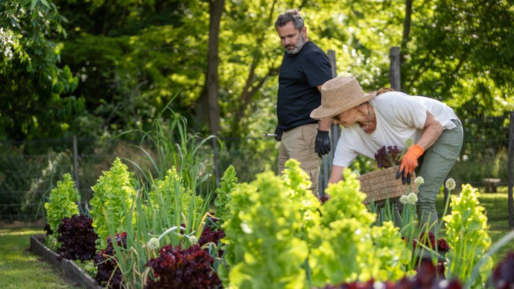 A couple prunes their vegetable garden