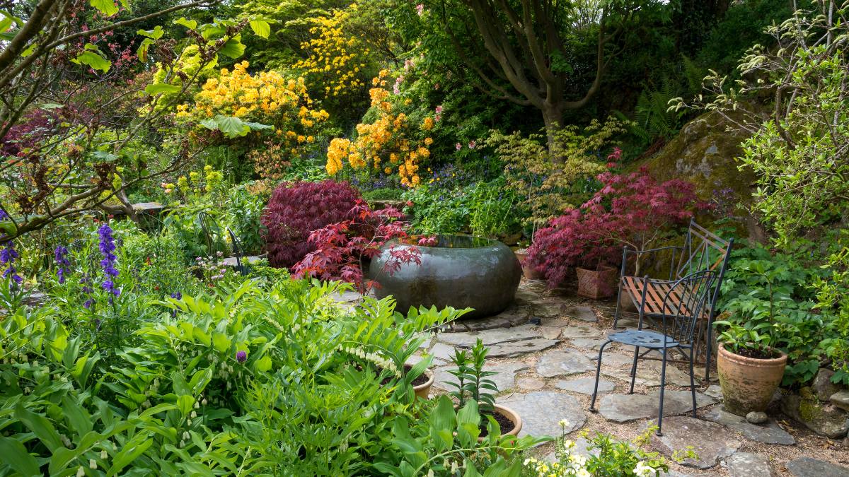Outdoor Plants that don't need sunlight