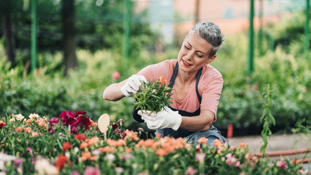 wives tales summer solstice: Garden center worker in a flower greenhouse. Horizontal shot