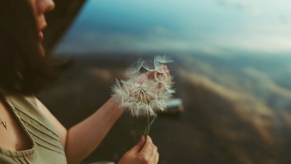 Mature woman holding dandelion near water