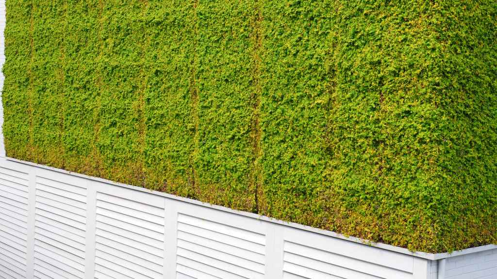 Budget small garden ideas: Grass turf wall hanging on outdoor wall