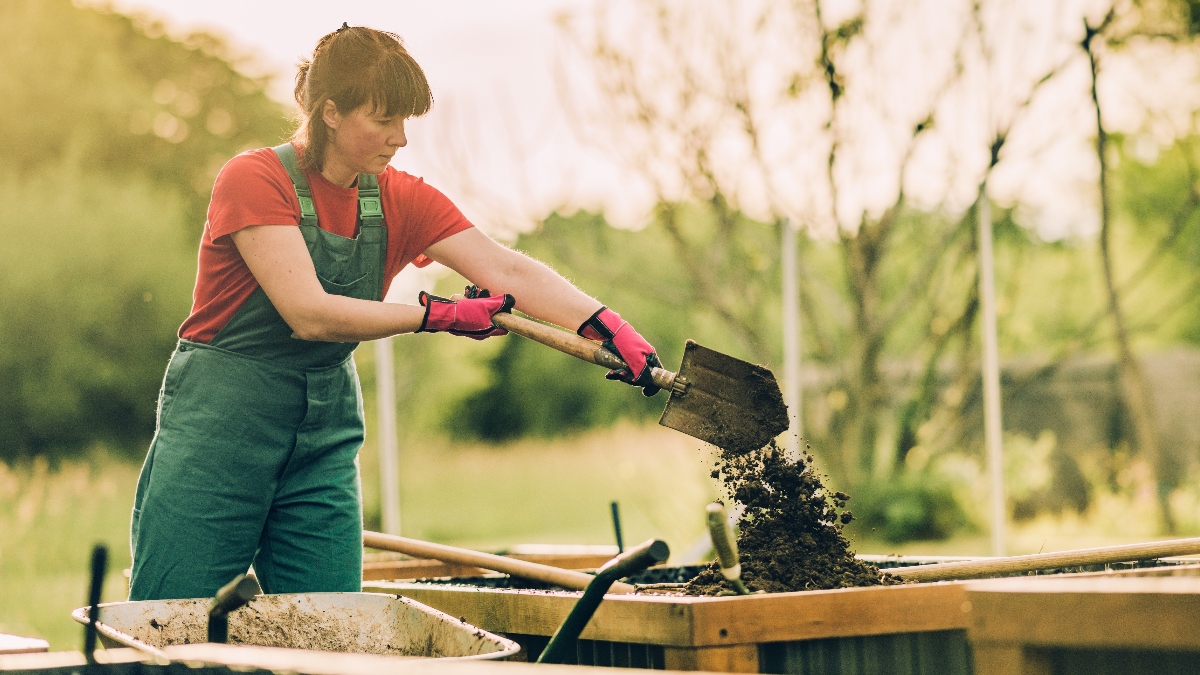 A woman filling a raised garden bed