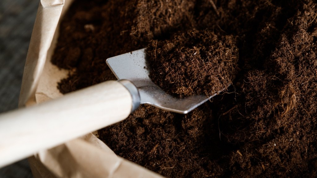 Garden soil to be added to potato plants