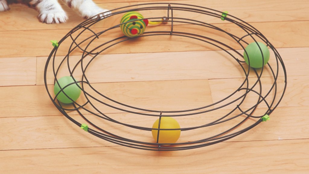 DIY cat toy: Turbo track