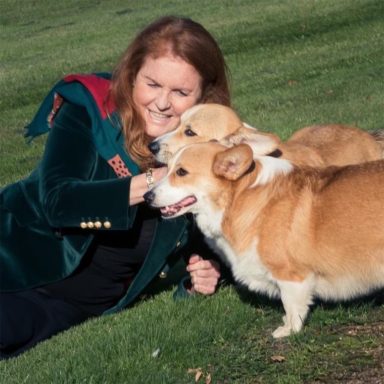 rs_1024x1024-221015080251-1024-sarah-ferguson-muick-sandy-corgis-queen-elizabeth-1-101522 copy