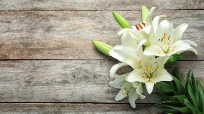 A bouquet of white lilies against a wooden backdrop