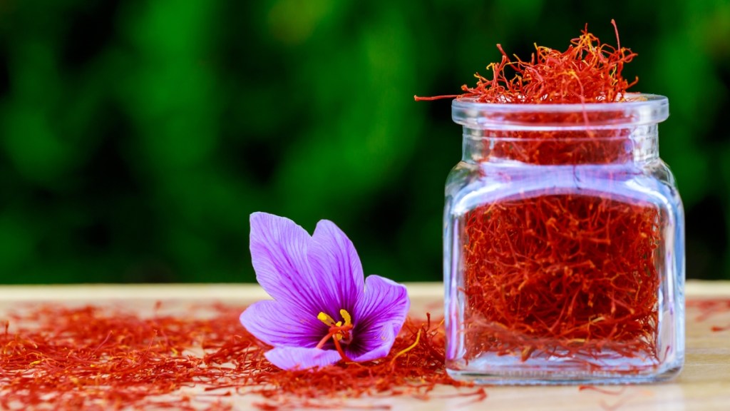 Jar of saffron threads beside a crocus flower