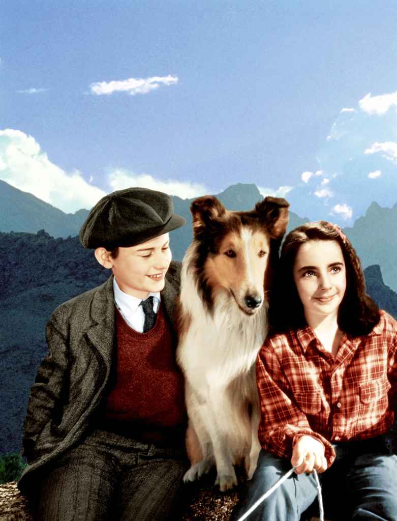 Lassie Come Home - 1943

Roddy McDowall, Lassie, Elizabeth Taylor