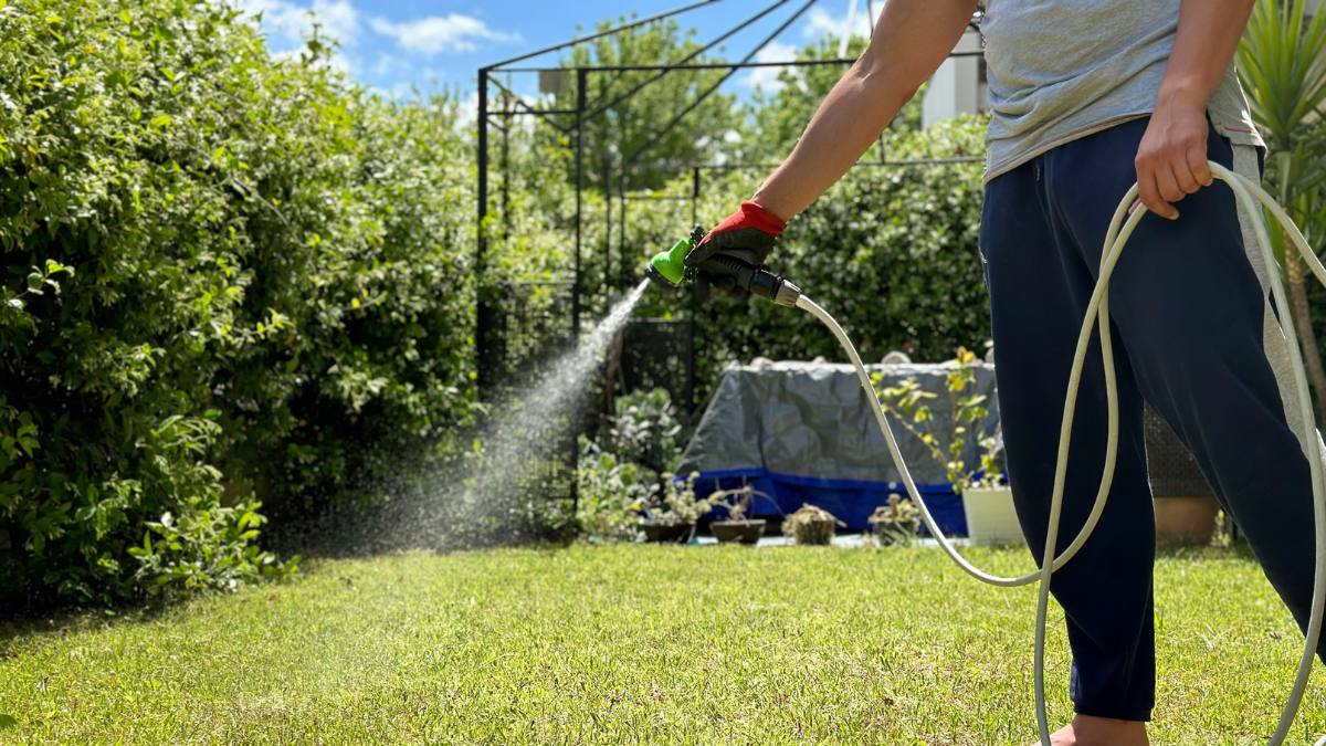 Person knowing when to plant grass seed
