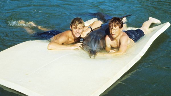 'Flipper' TV Show: 7 Facts About the 1964 Dolphin Sensation | Woman's World