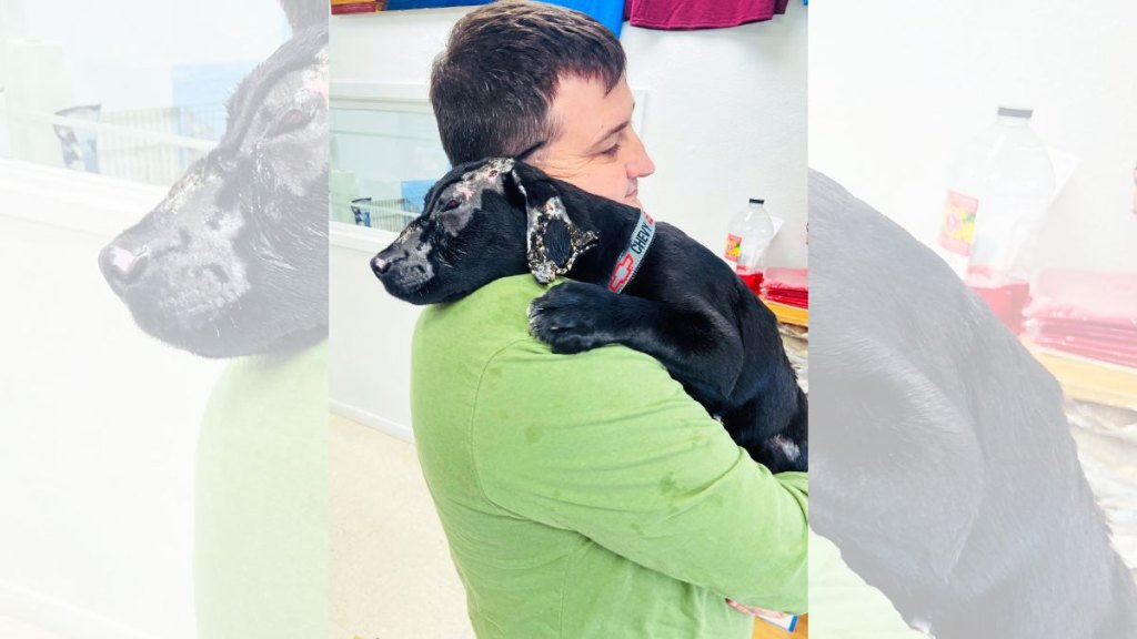 “He’s a survivor—and super-loving,” says Corey with sweet pup Smoky