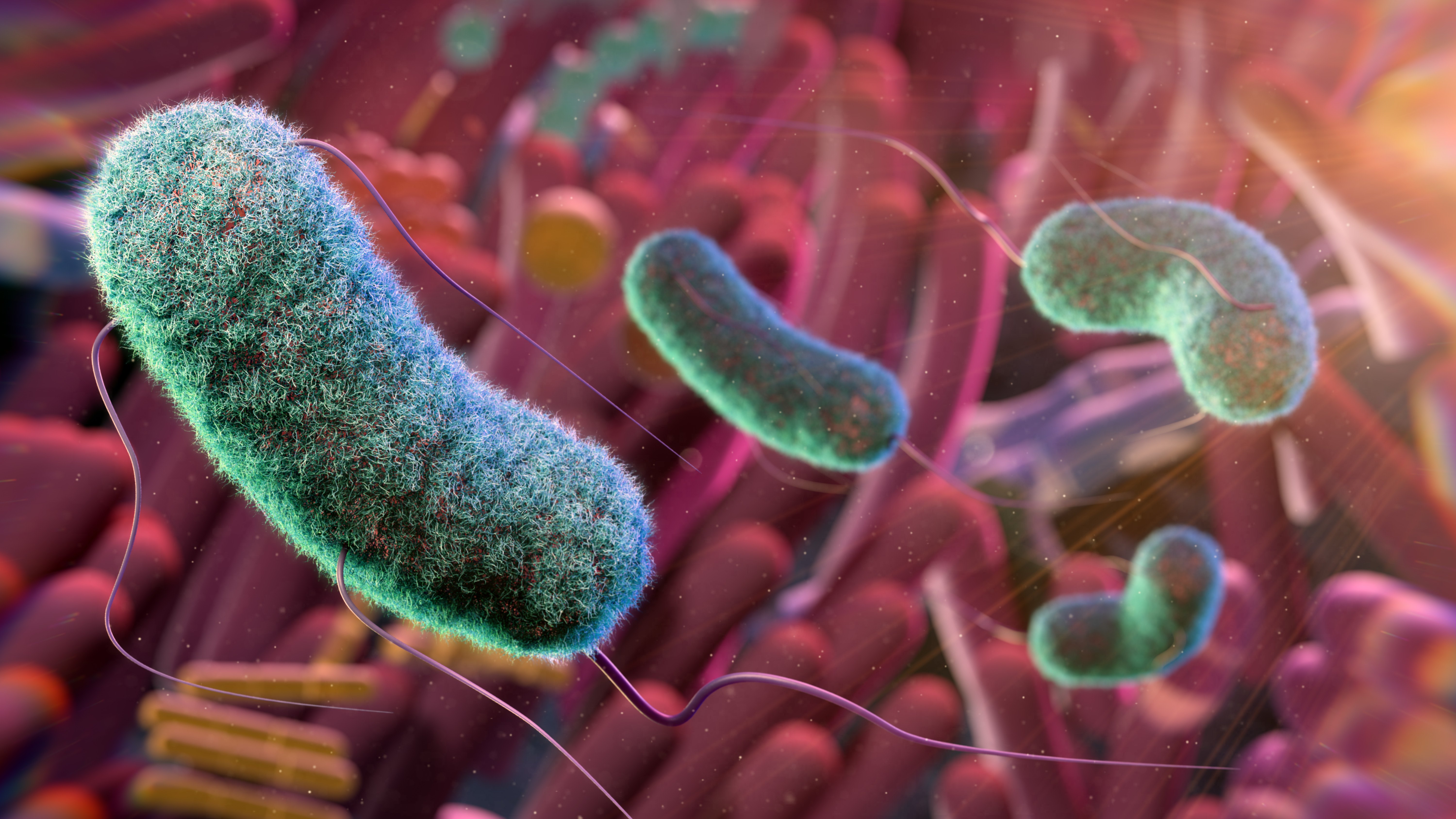 Gut Microbiome and Alzheimer’s: The Link Between Your Gut and Brain ...