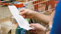 Couple reviews long grocery receipt
