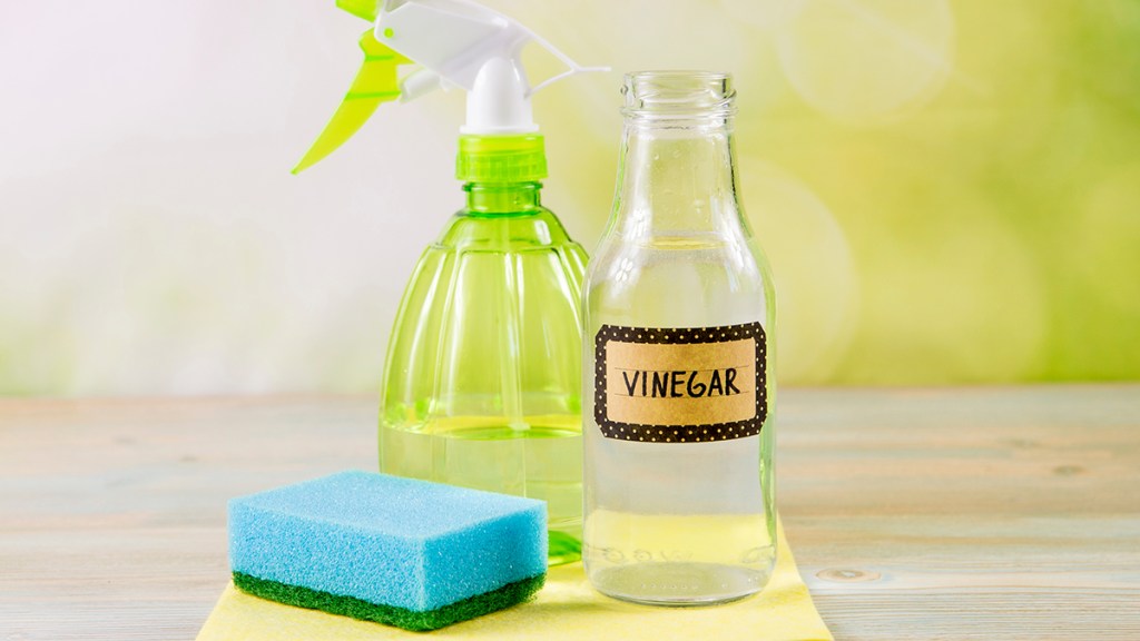 White vinegar and spray bottle to help clear up mold