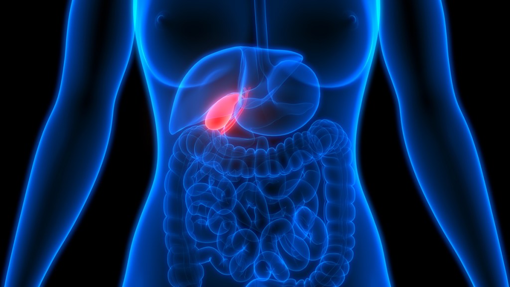 Medical illustration showing the location of the gallbladder