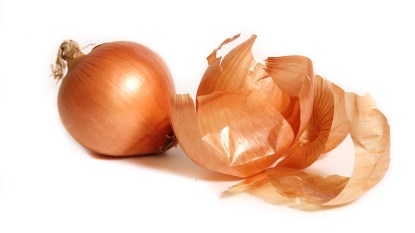 Onion with onion skins