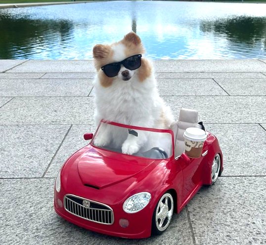 Koda in her car