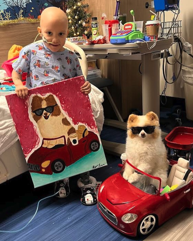 Dog with a young patient animal heroes