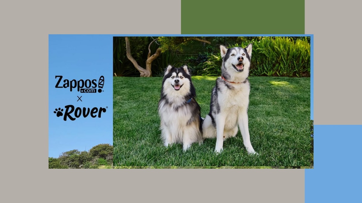 An image of two senior dogs next to text that reads 'Zappos x Rover' for their International Dog Day sweepstakes.