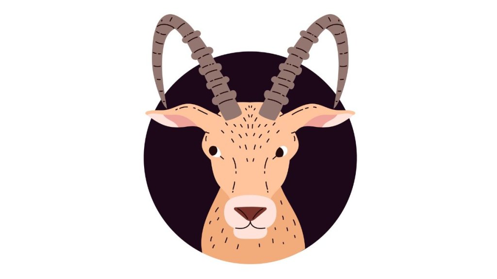 Capricorn fall beauty products per zodiac