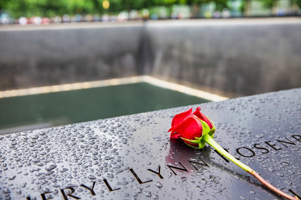 rose on memorial