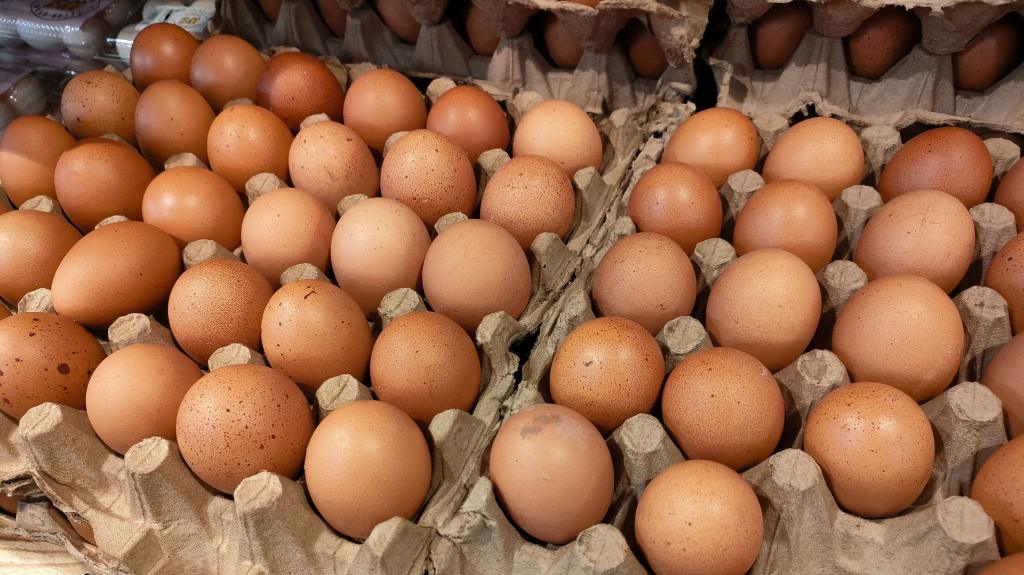 eggs in cartons