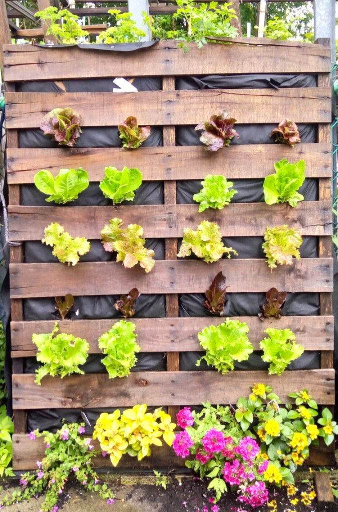 Pallet Garden