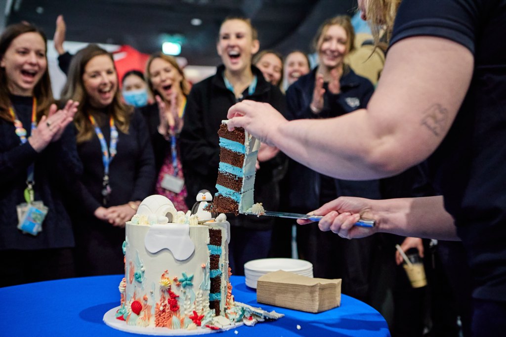 Pesto the penguin's gender reveal cake at SEA LIFE.