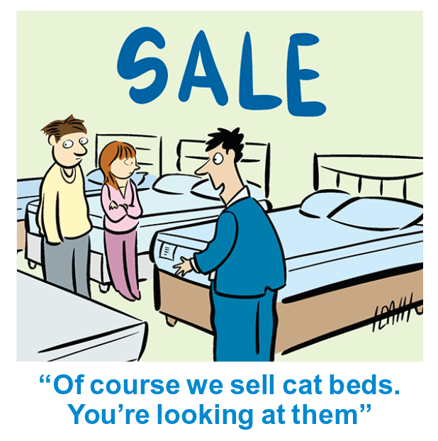 Jokes about cats: a couple shops for cat beds 