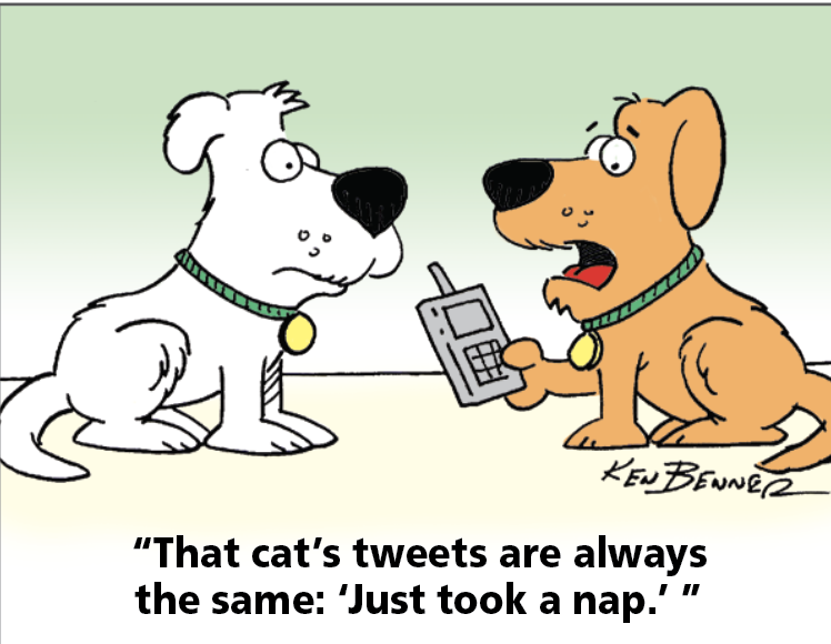 Jokes about cats: Two dogs sit and talk about what a cat tweets 
