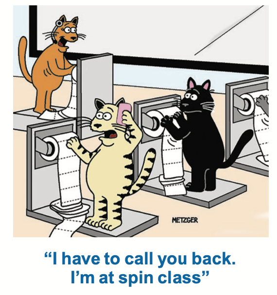 Jokes about cats: Cats at spin class saying that they cant talk right now