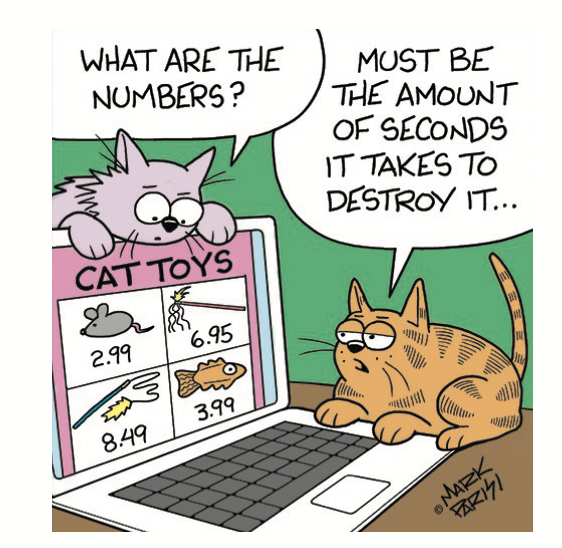 Jokes about cats: two cats sit at a computer shopping for cat toys 